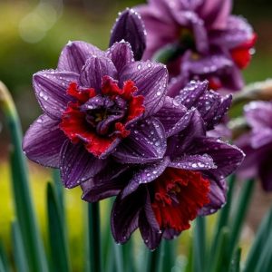 Нарцисс Минт Флер купить по цене от 2000р. в интернет-магазине «Посадика» с доставкой почтой в в Россошье и по всей России – [изображение №1].