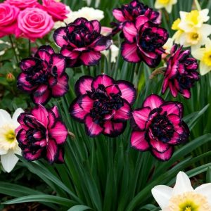 Нарцисс Золотая Корона купить по цене от 2000р. в интернет-магазине «Посадика» с доставкой почтой в в Россошье и по всей России – [изображение №1].